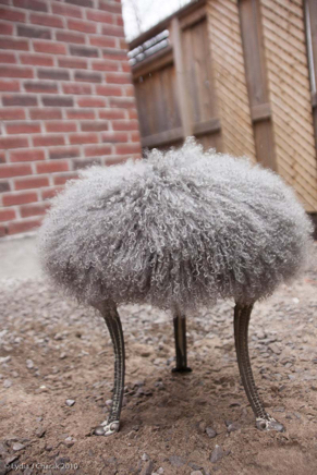 Stool - mixed media - ©Lydia Charak