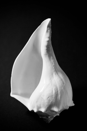 Beauty 1 - photograph - ©Lydia Charak