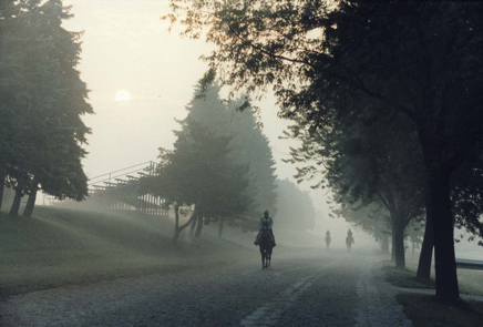 Foggy morning - photograph - ©Lydia Charak