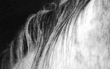Horse body left - photograph - ©Lydia Charak
